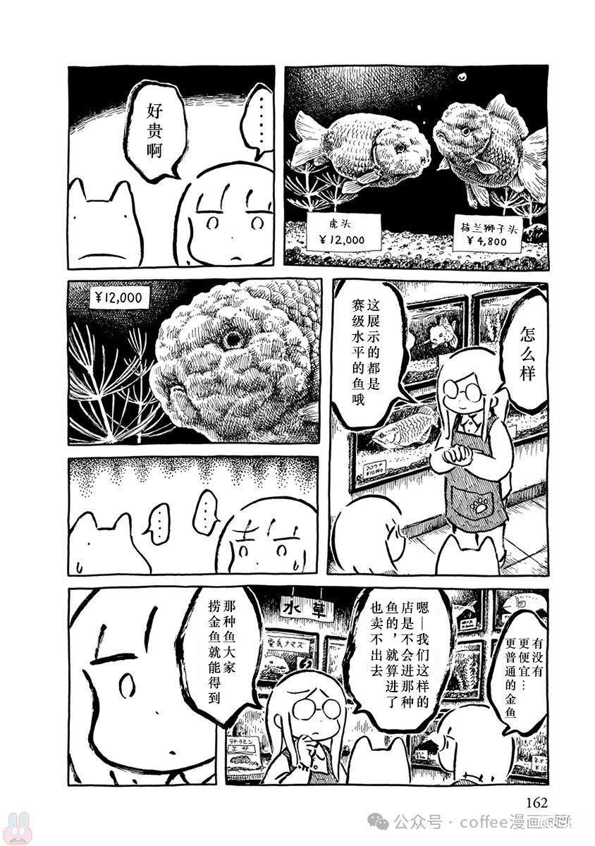 第二条金鱼5