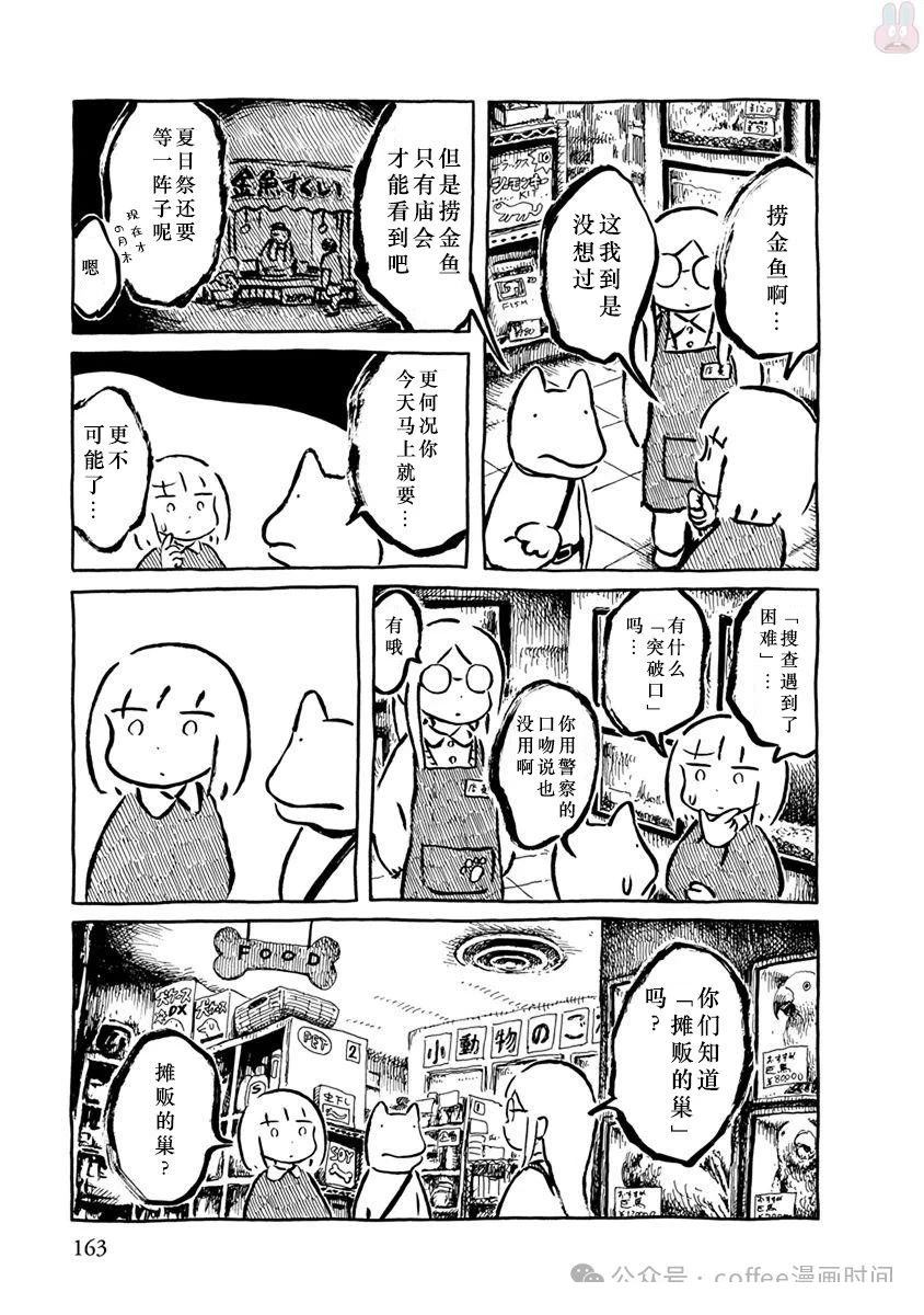 第二条金鱼6