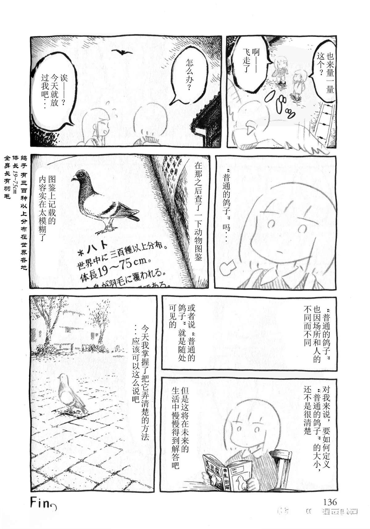 比较鸽学入门下11