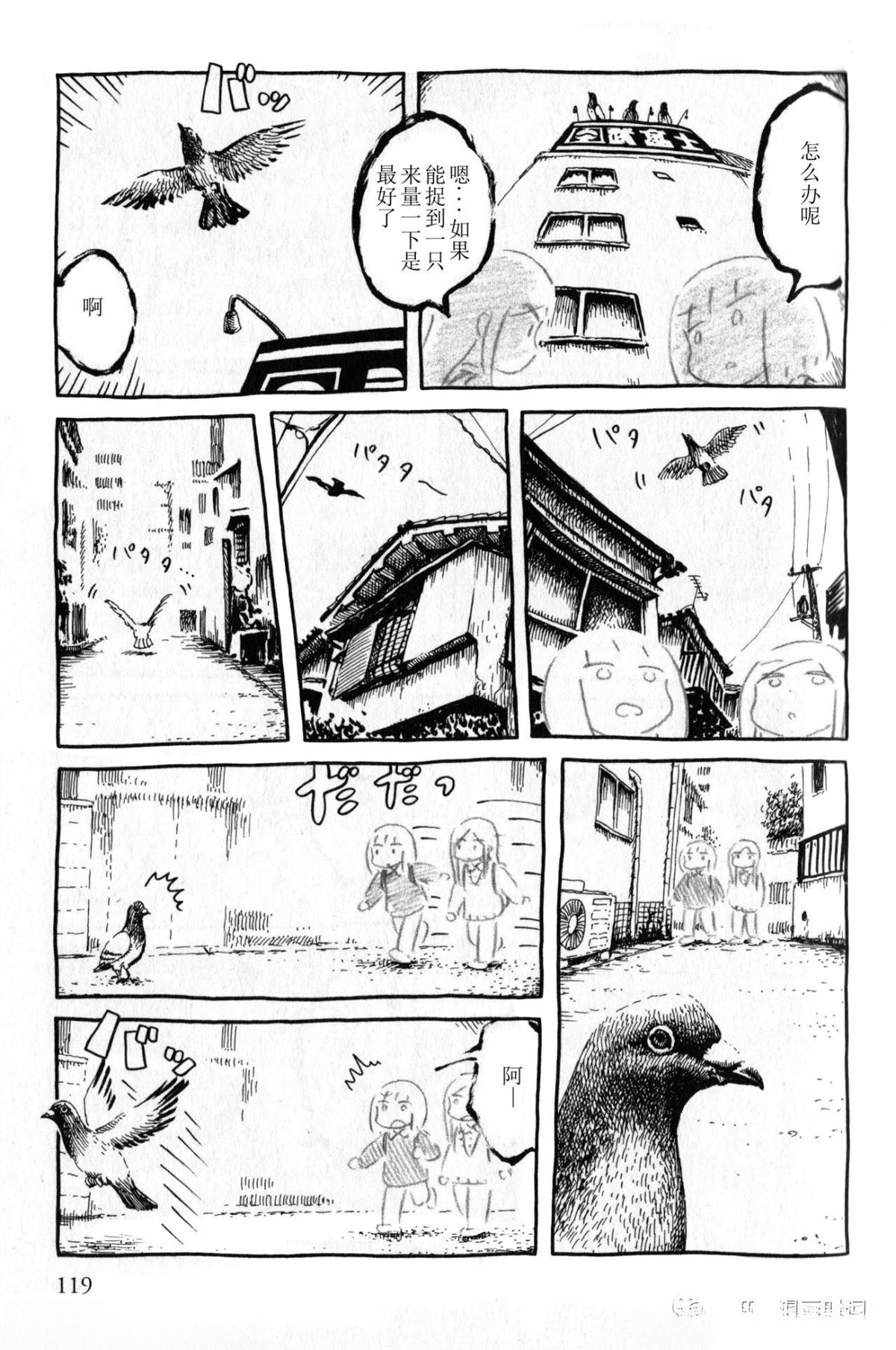 比较鸽学入门上4