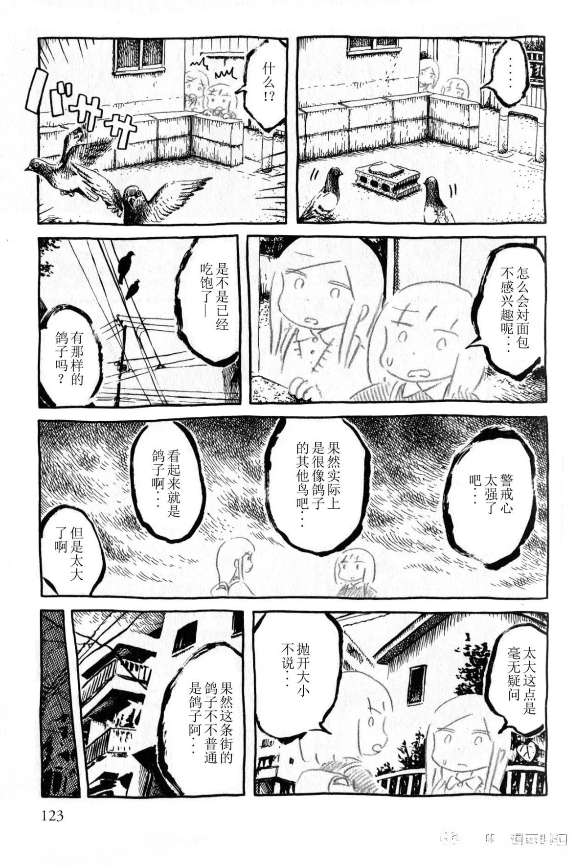 比较鸽学入门上8