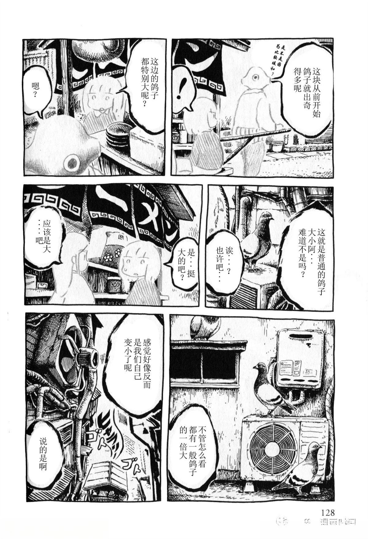 比较鸽学入门下3