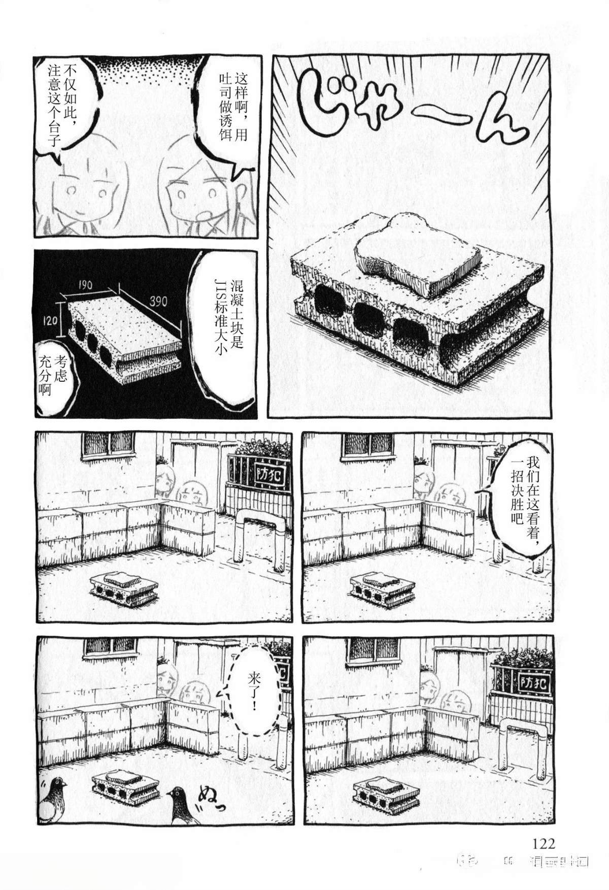 比较鸽学入门上7