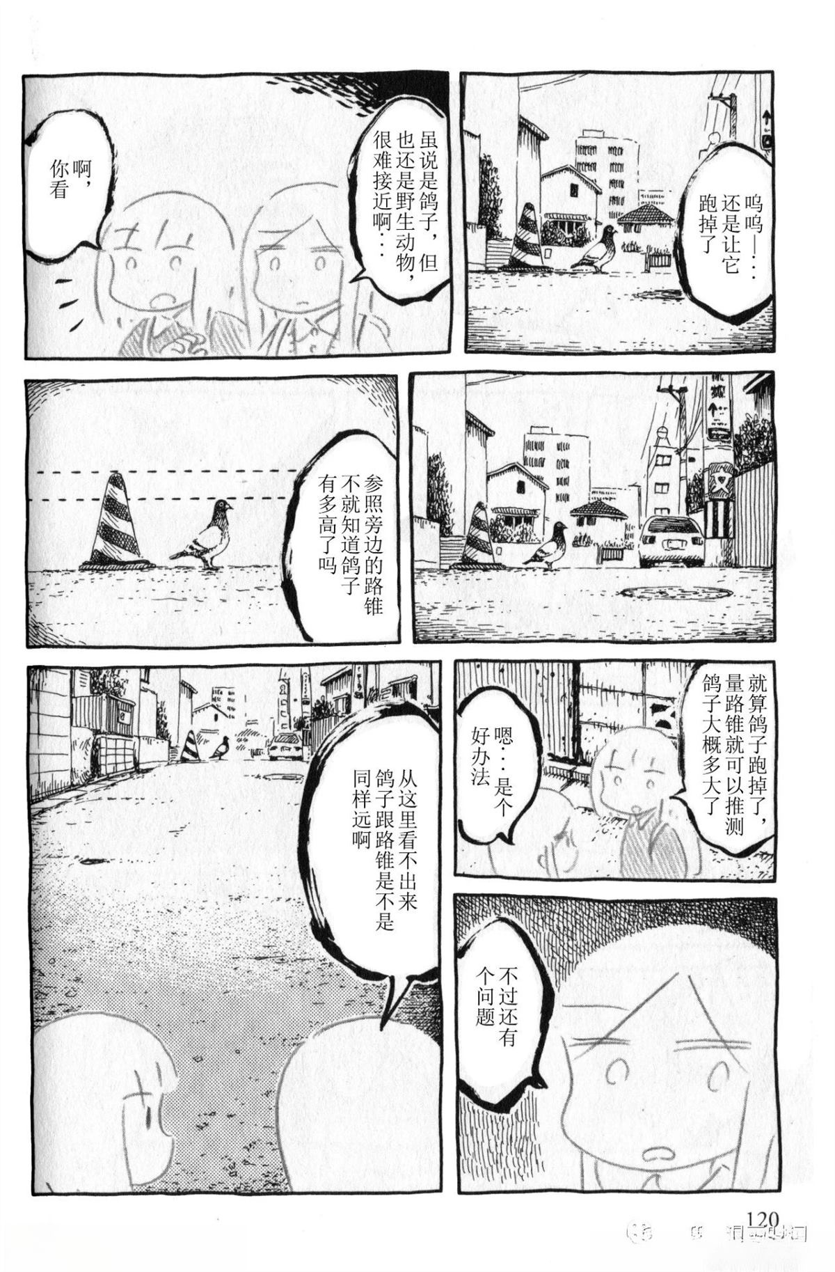 比较鸽学入门上5