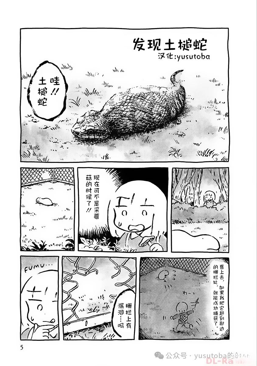 发现土槌蛇0