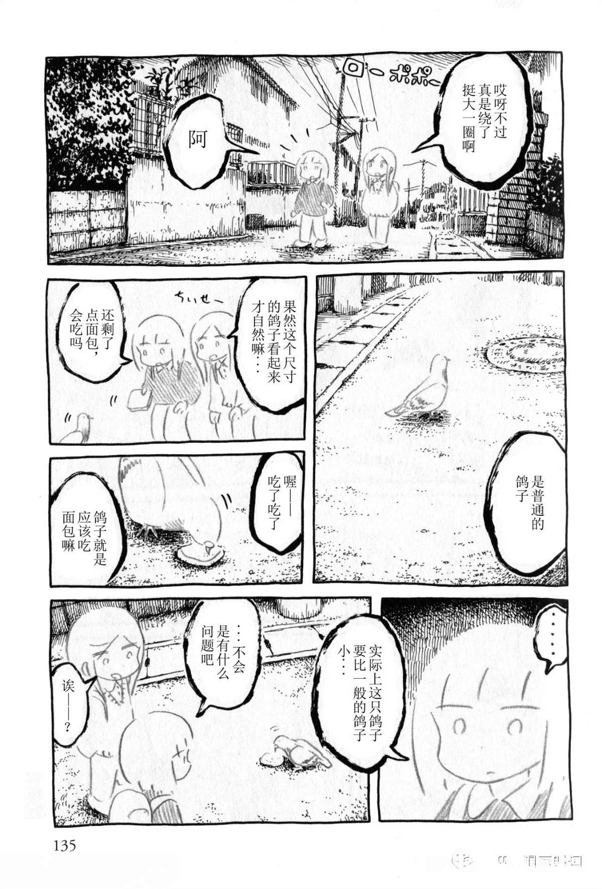 比较鸽学入门下10