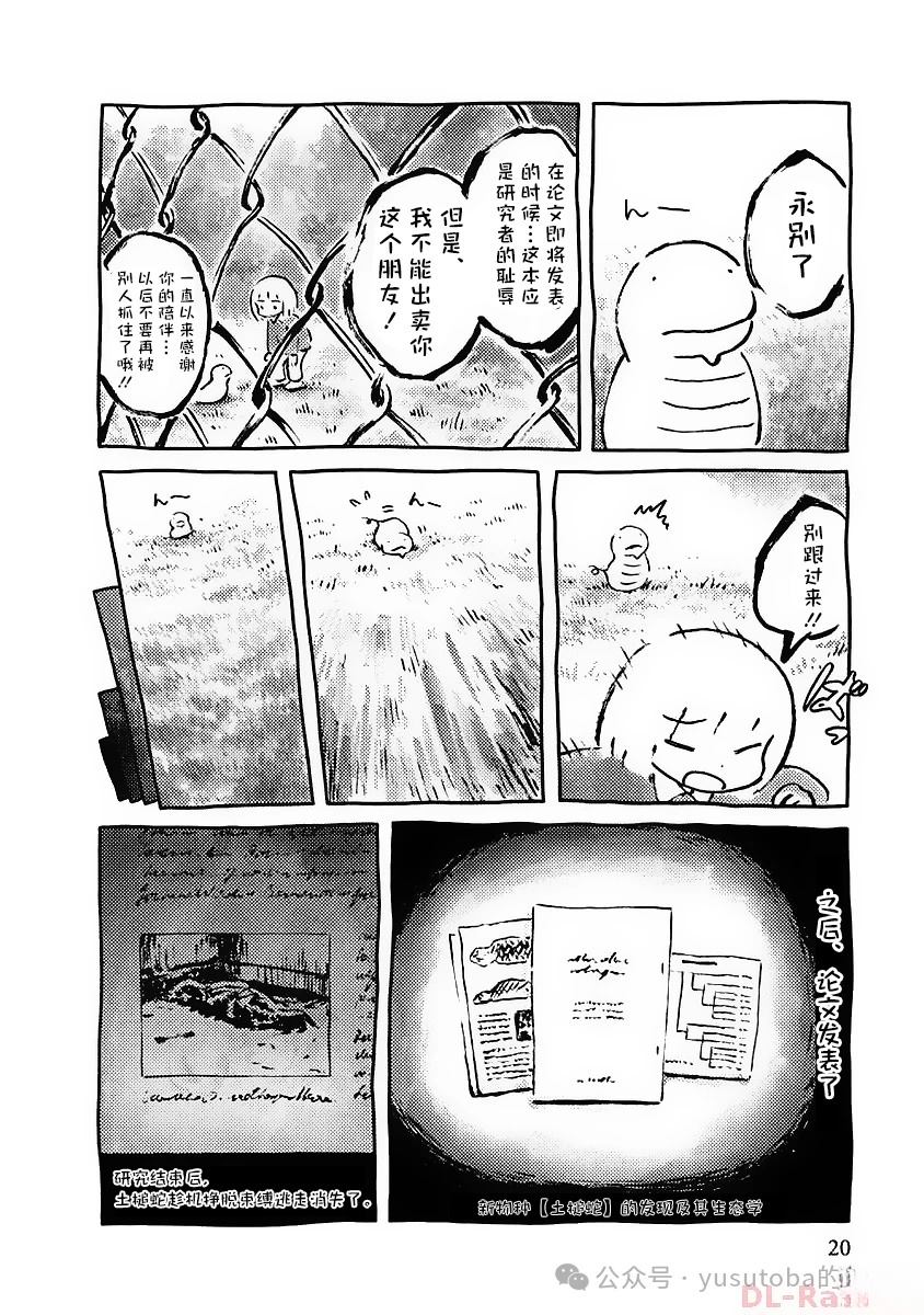 发现土槌蛇15