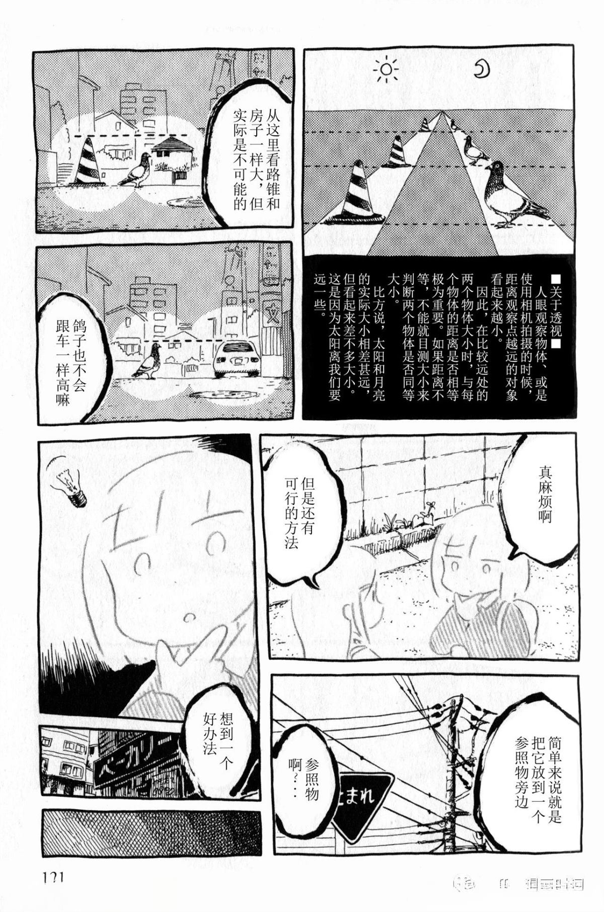 比较鸽学入门上6