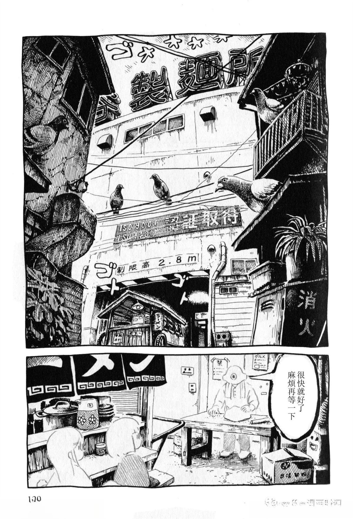 比较鸽学入门下4