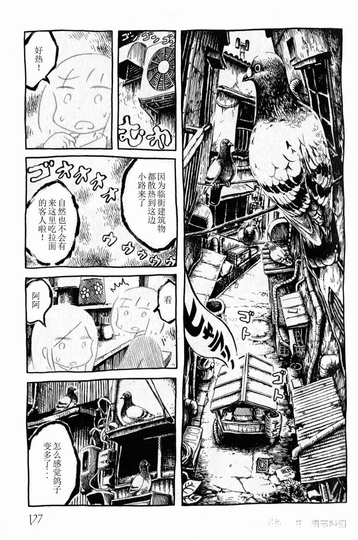 比较鸽学入门下2