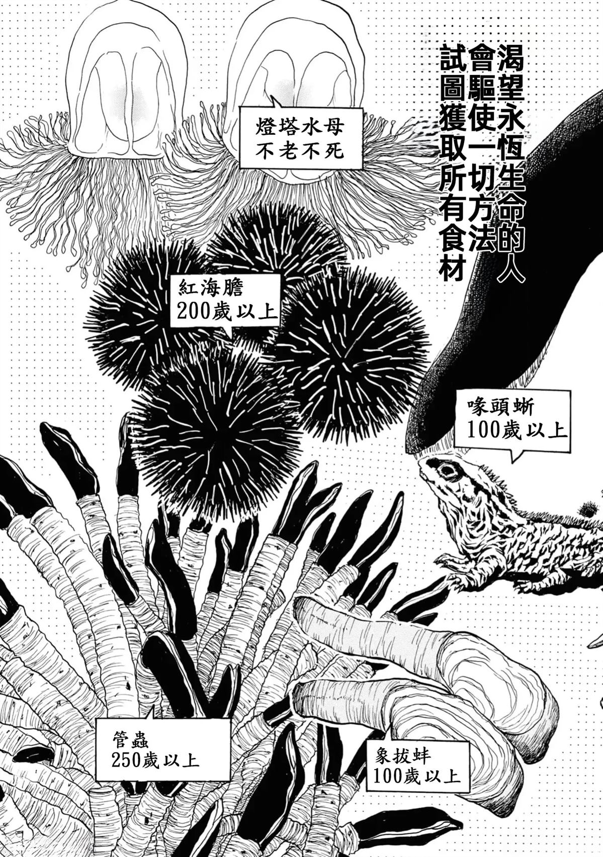 第2卷42