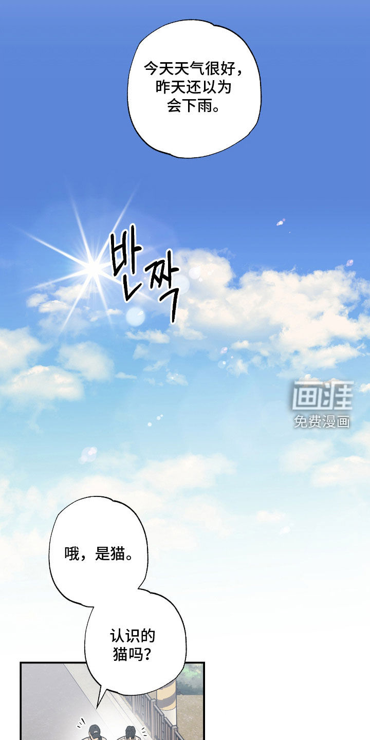 第22话14