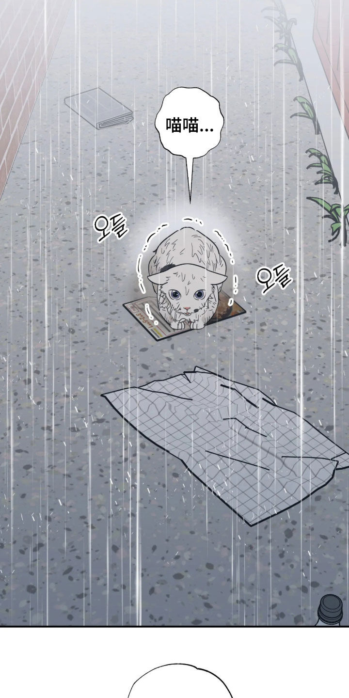 第46话13