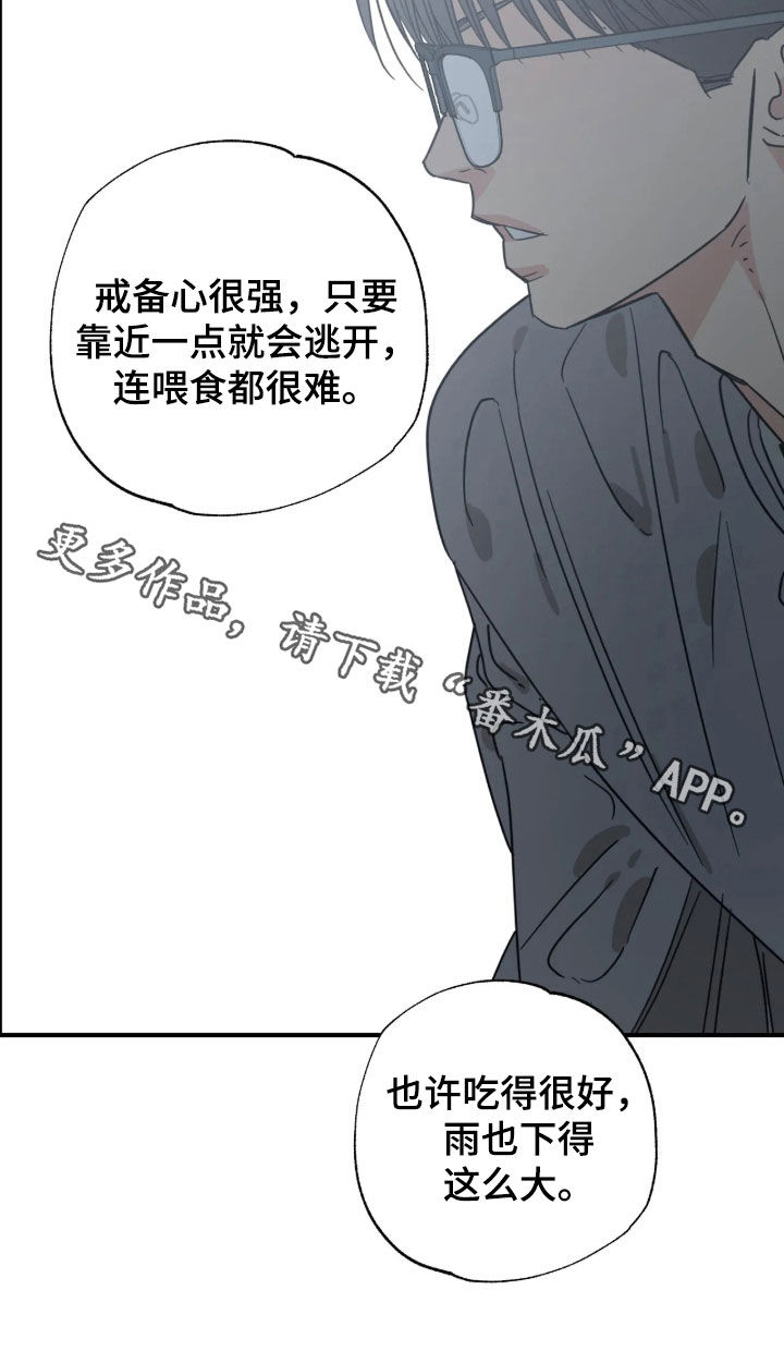 第45话25