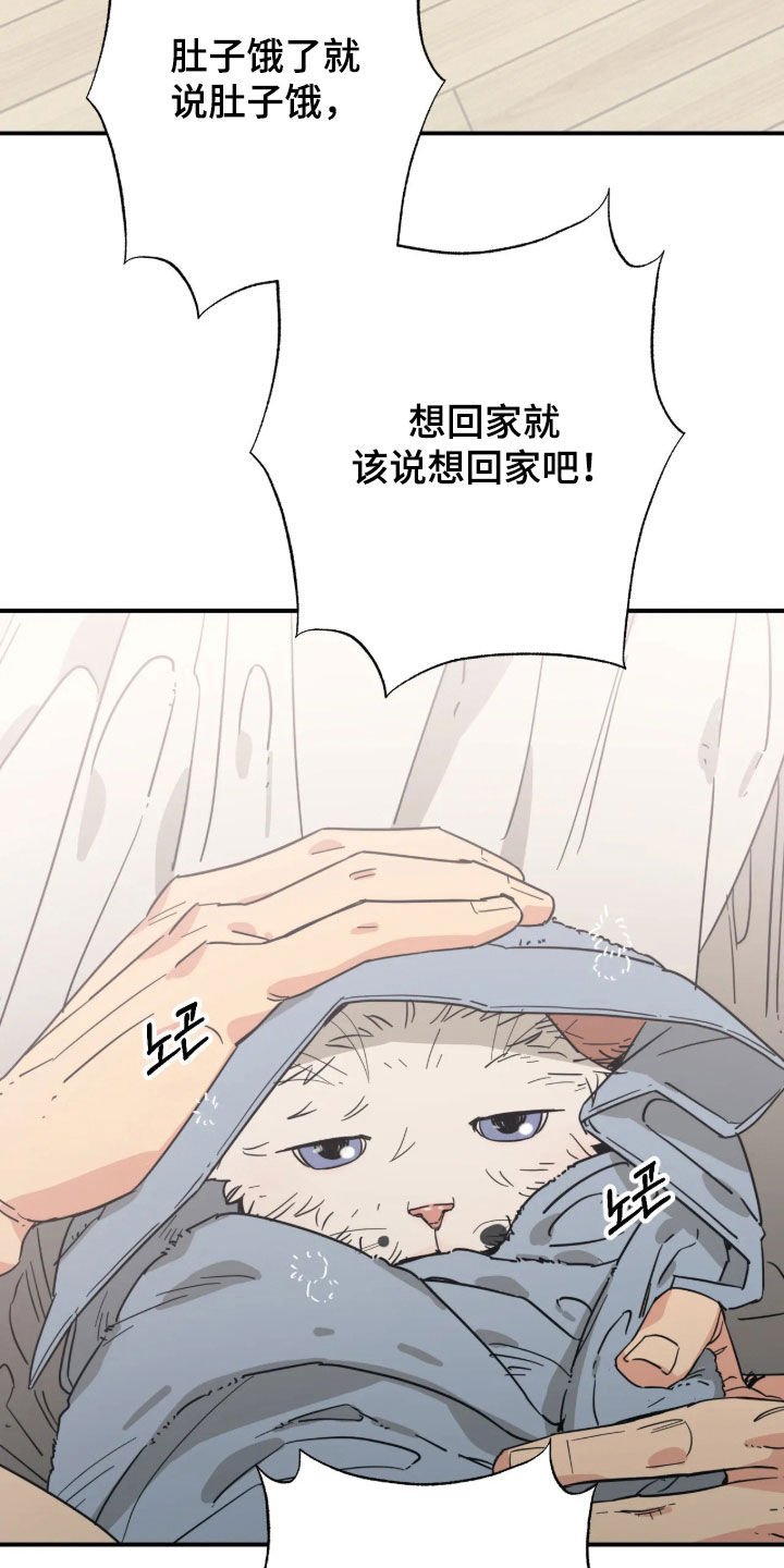 第47话1