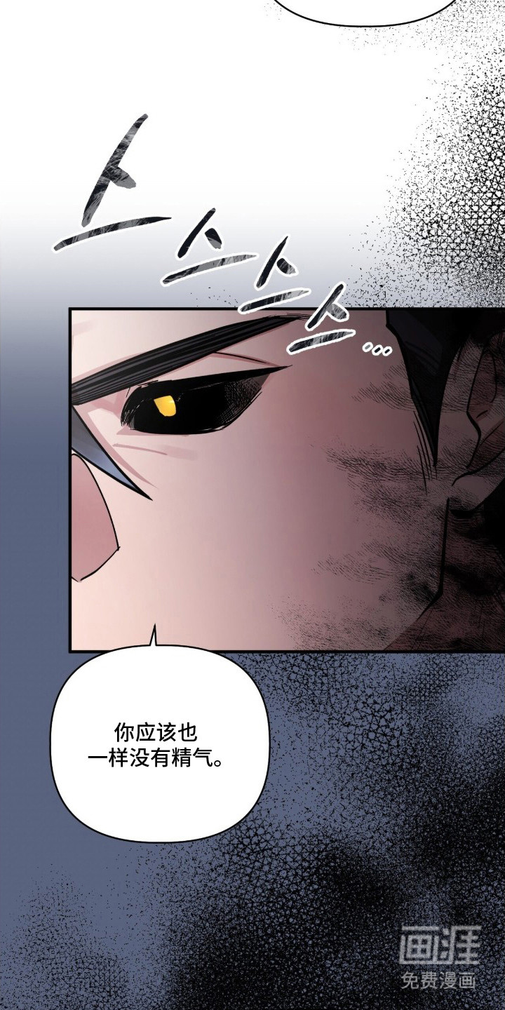 第14话11
