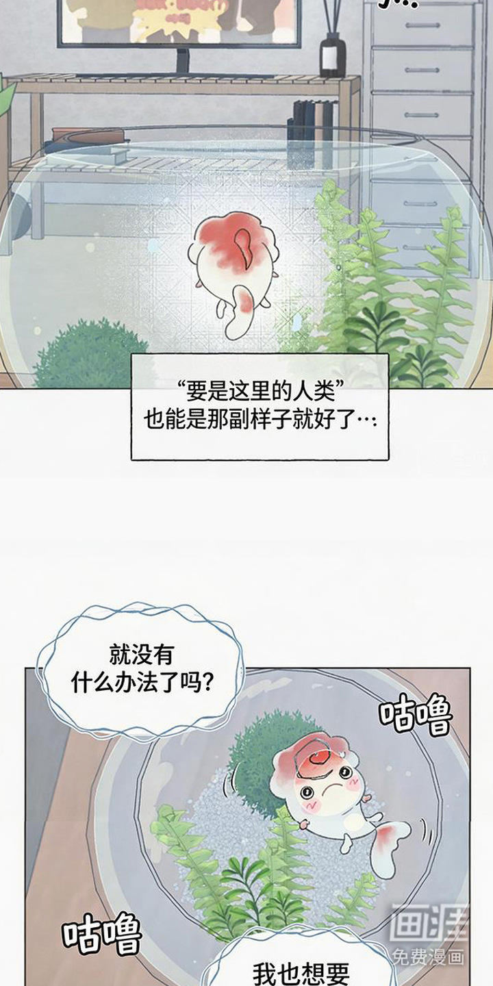 第3话3