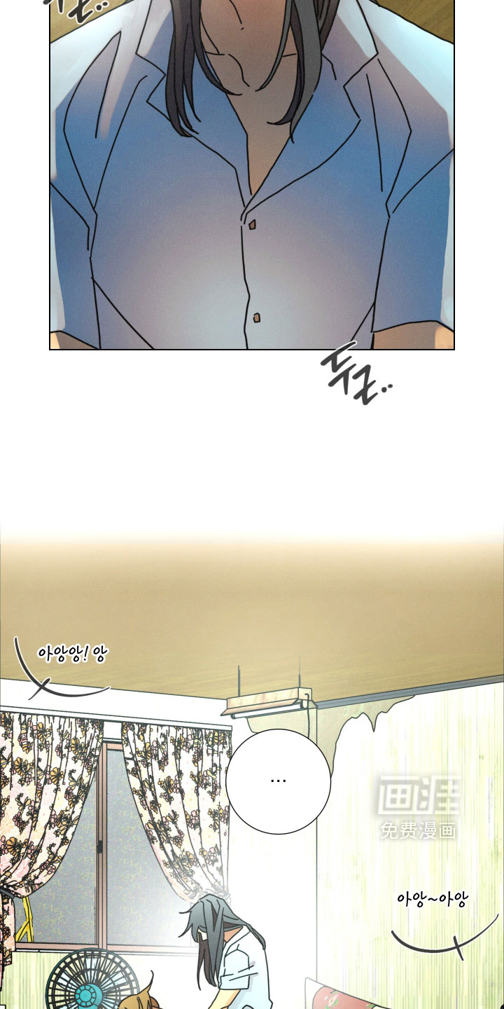 第28话28