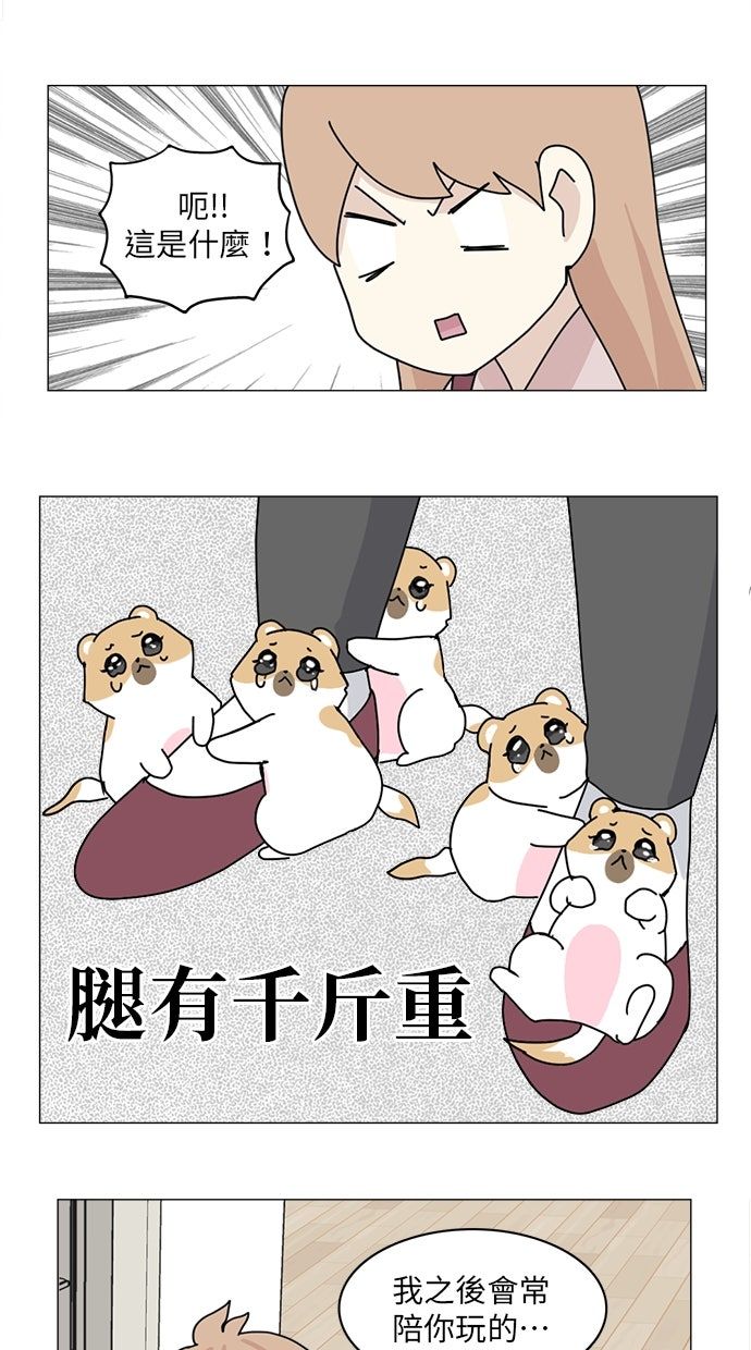第5话5