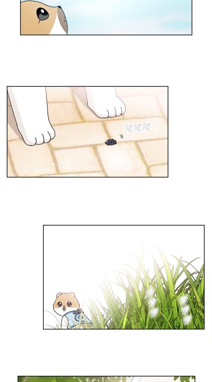 第8话6