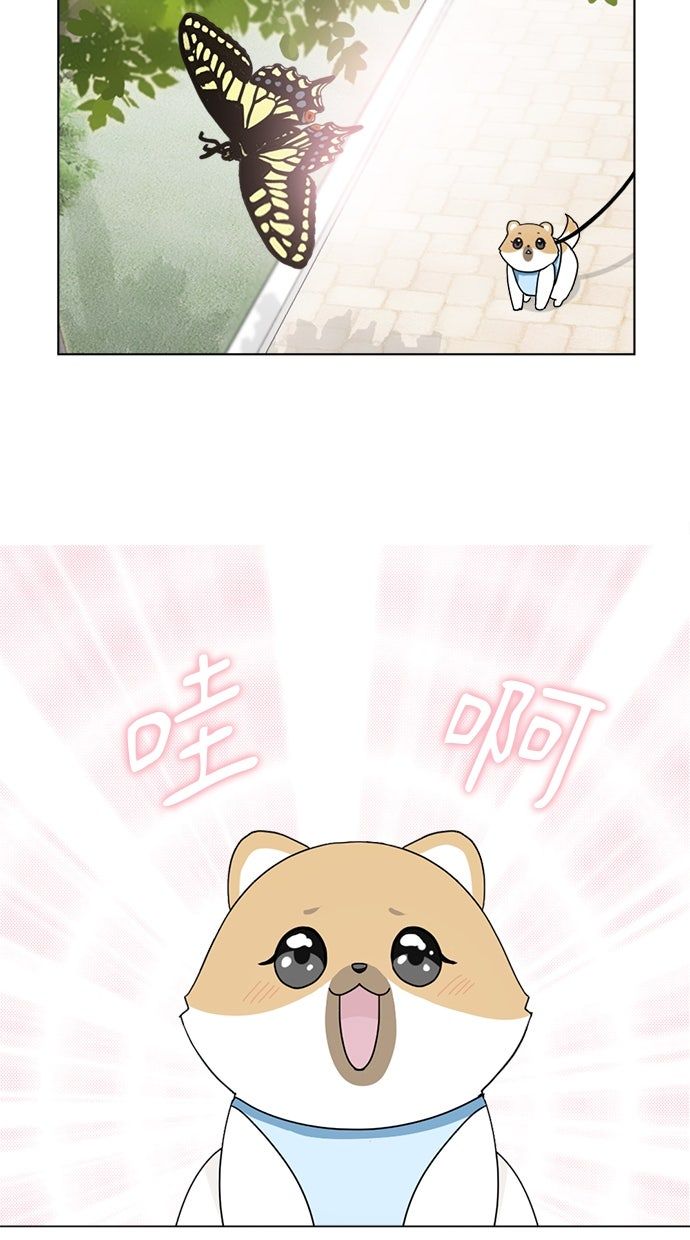 第8话7