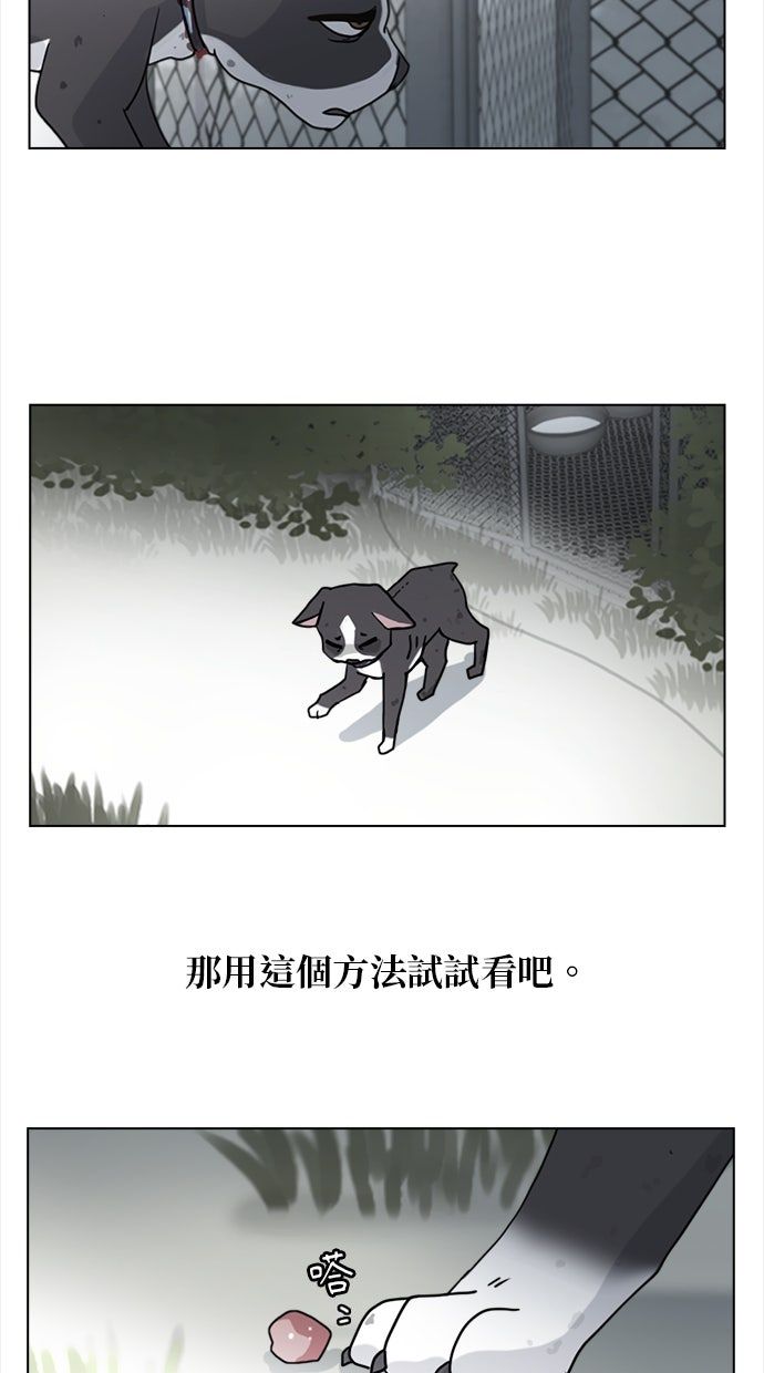 第20话13