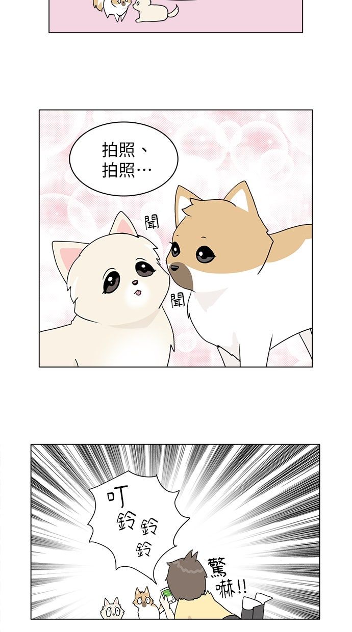 第29话8