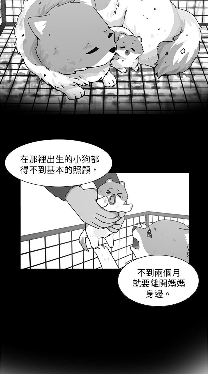 第31话31