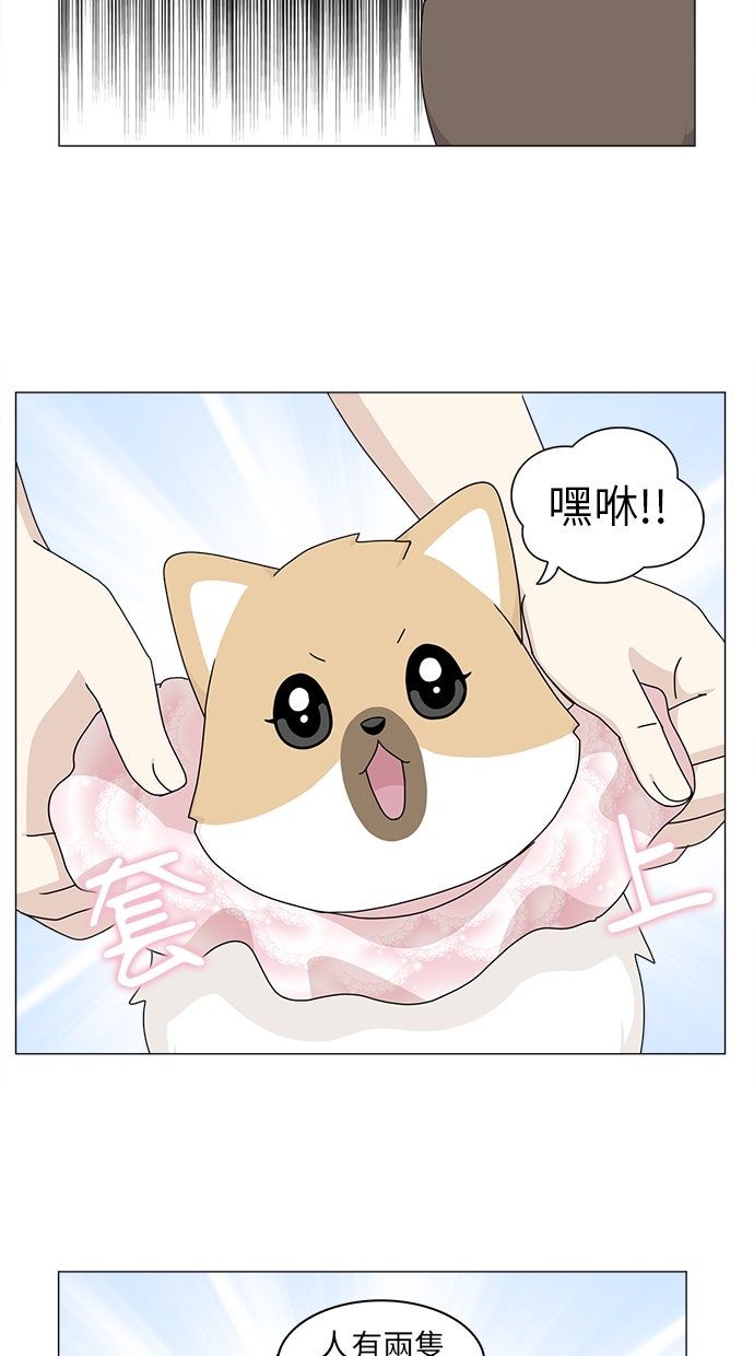 第54话52