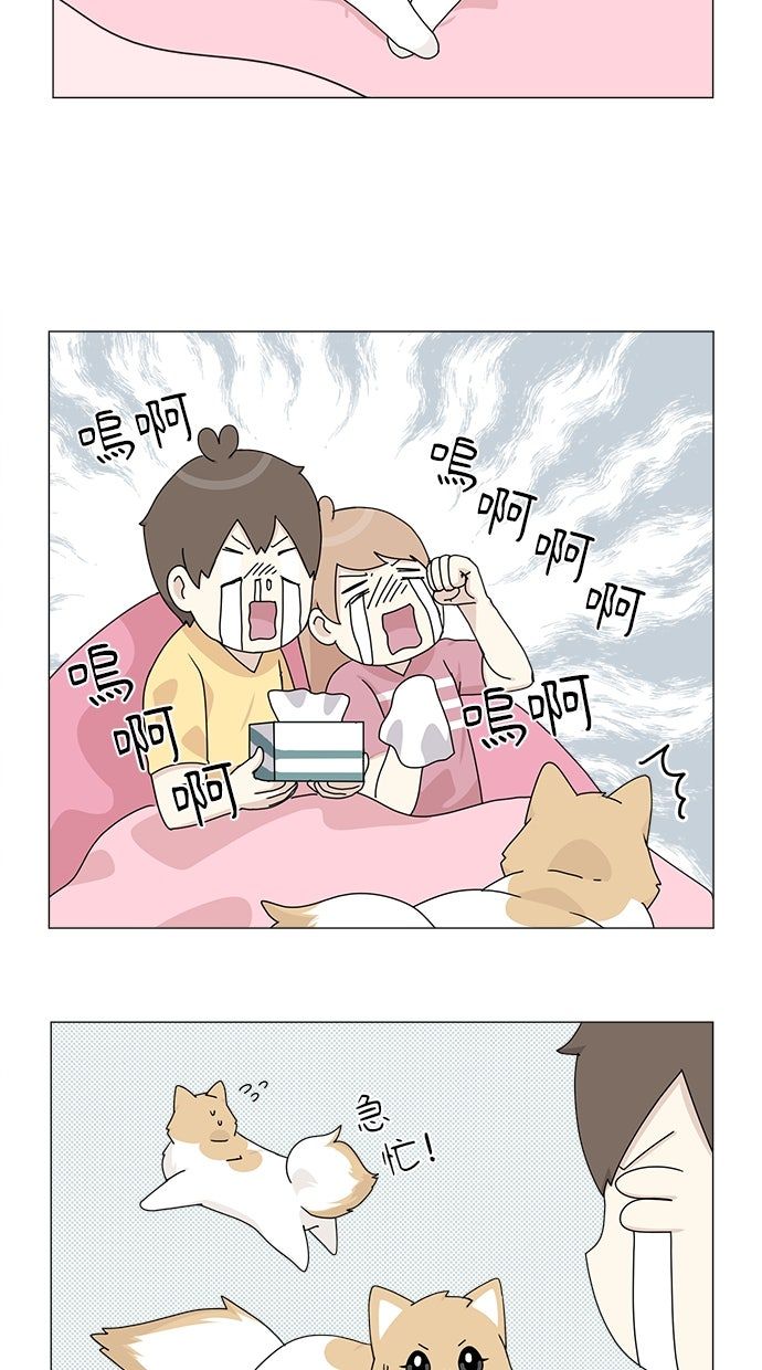 第54话56