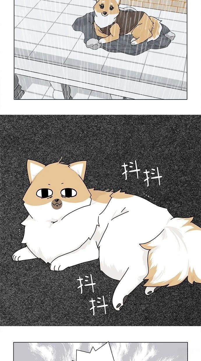 第44话5