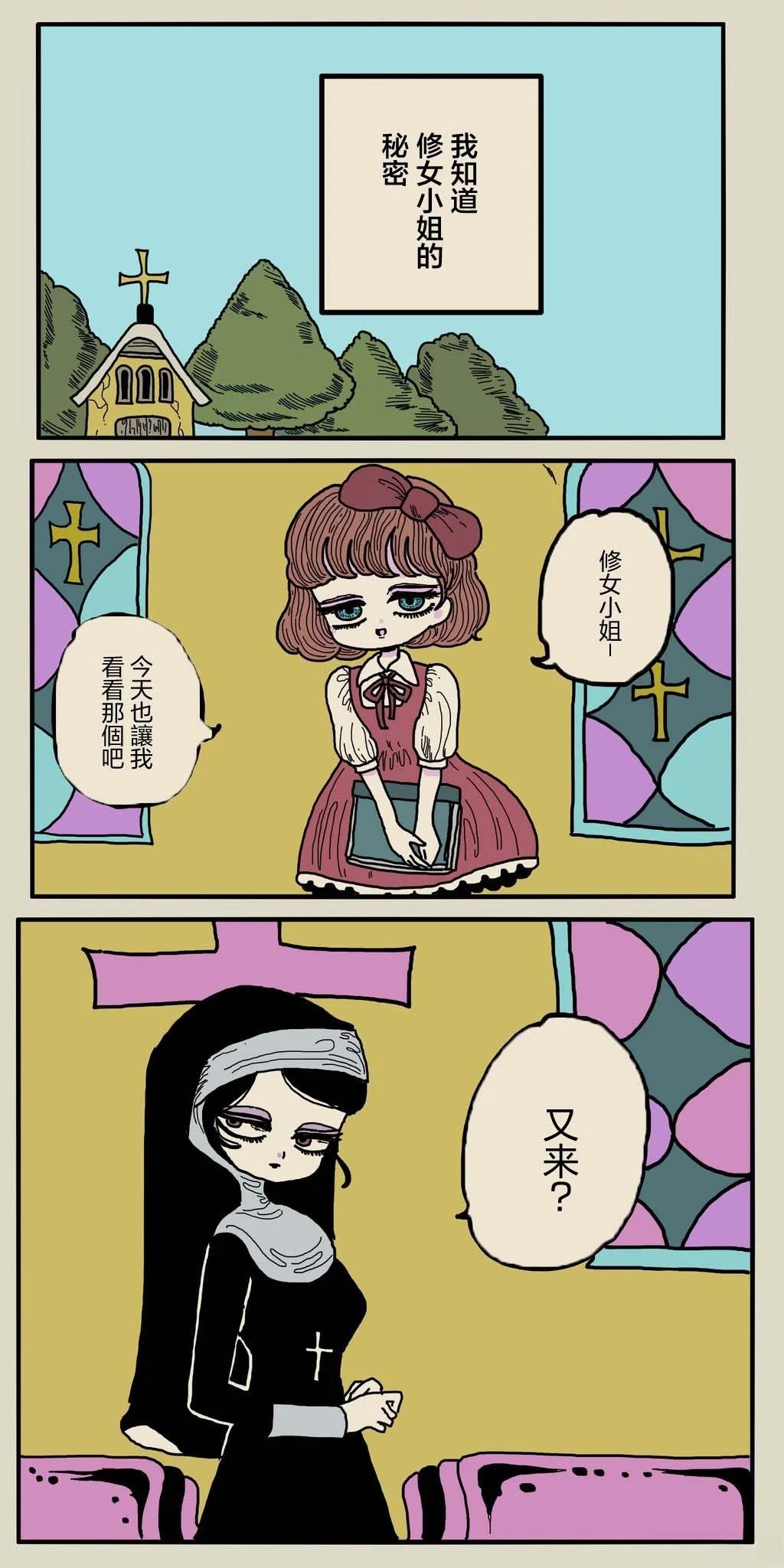 修女的秘密0
