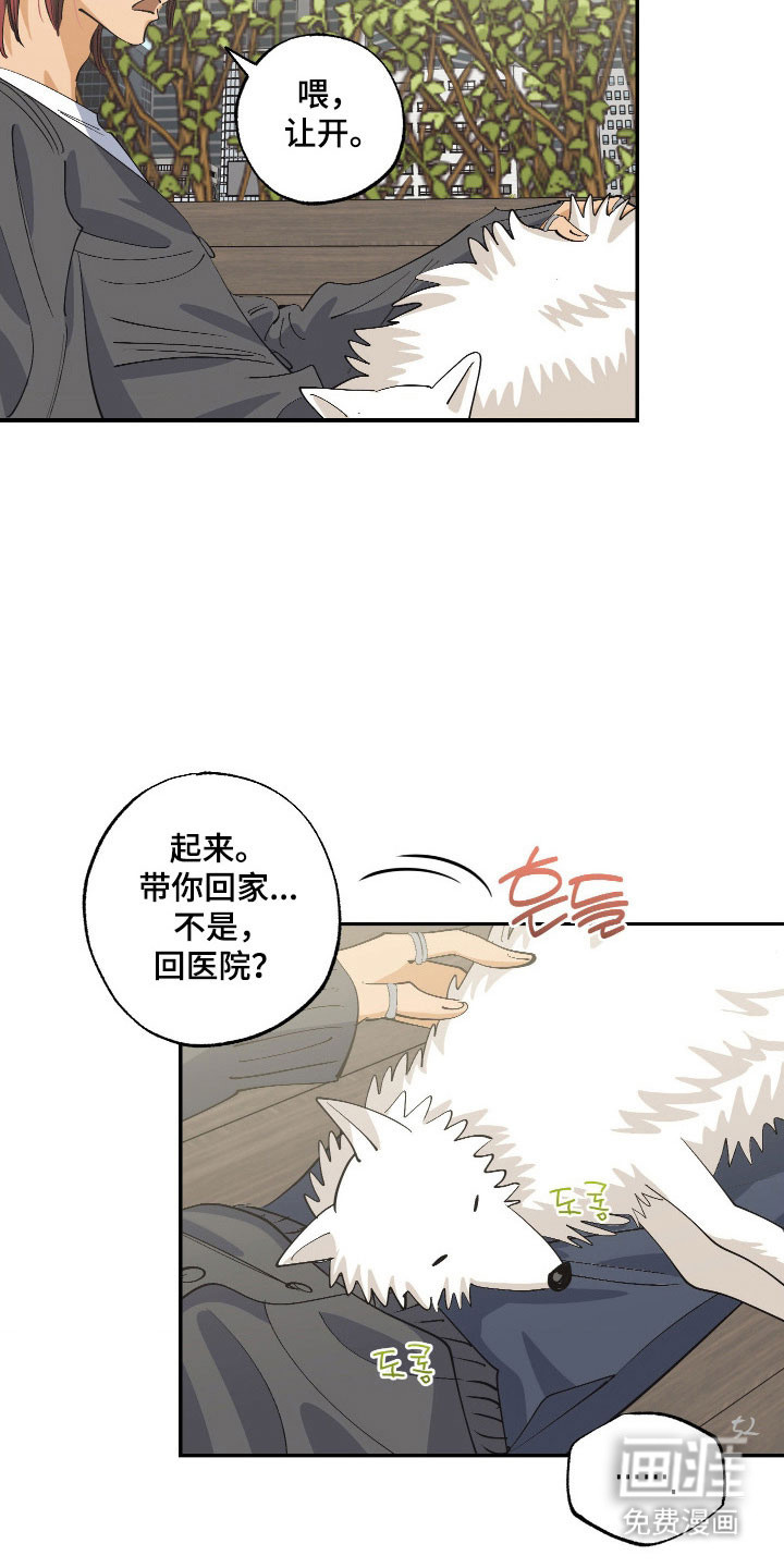 第17话17