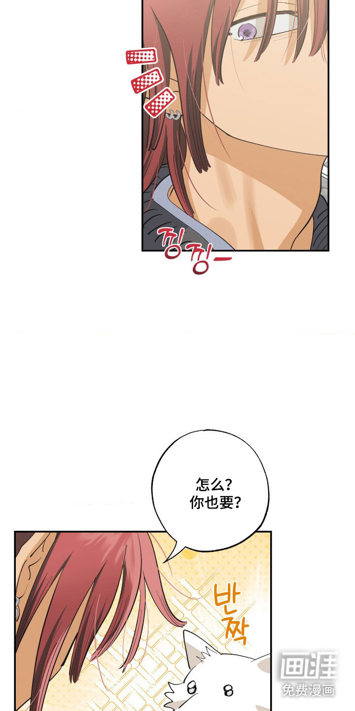 第17话6