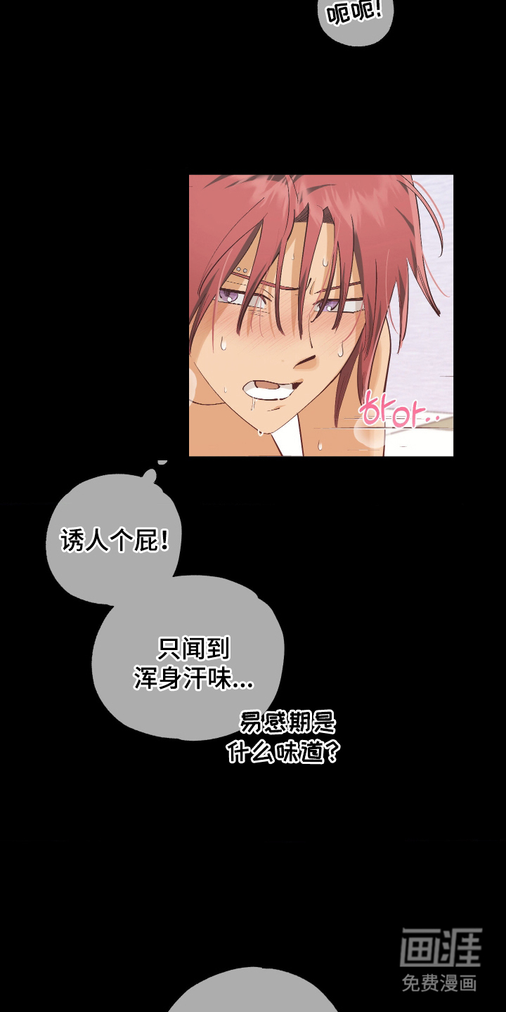 第5话5
