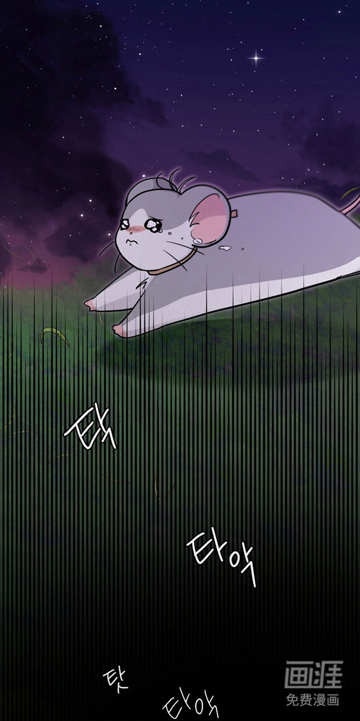 第37话14