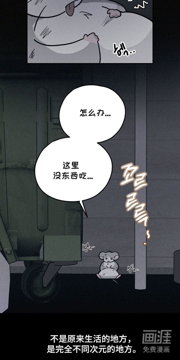 第37话19