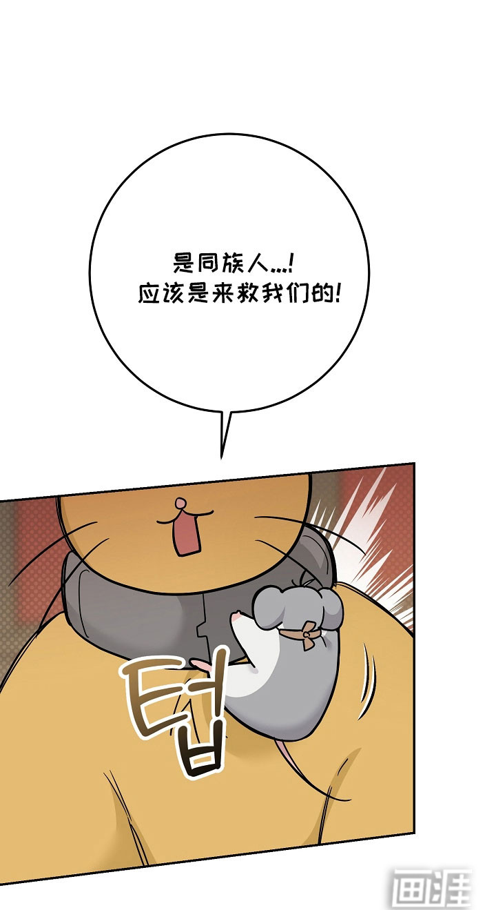 第34话36