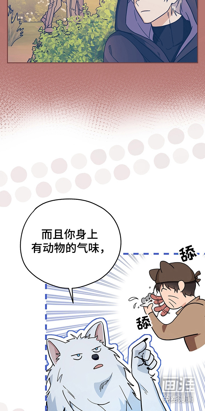 第17话6