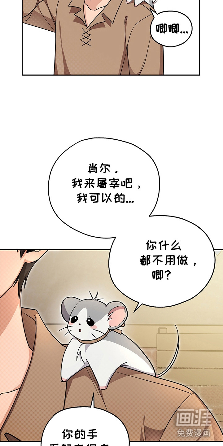 第13话11