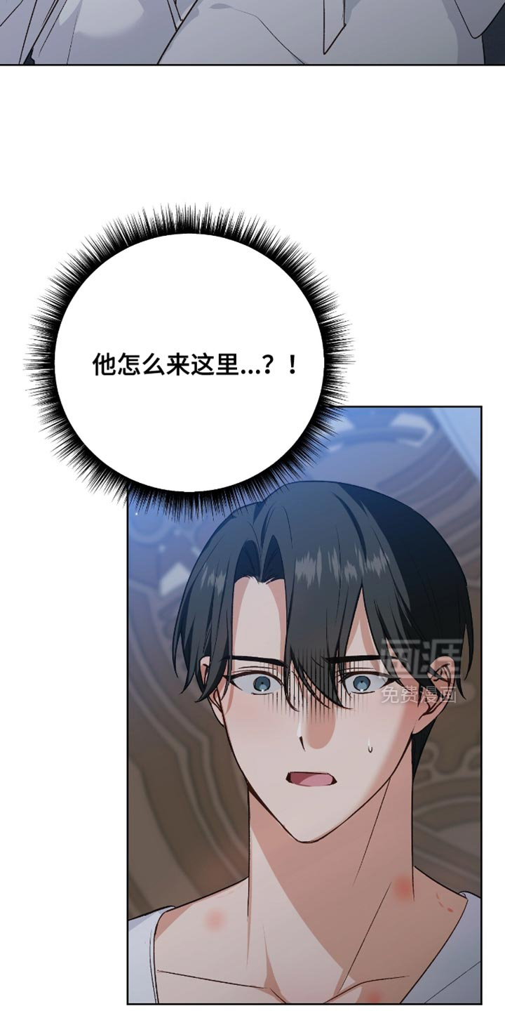 第31话17