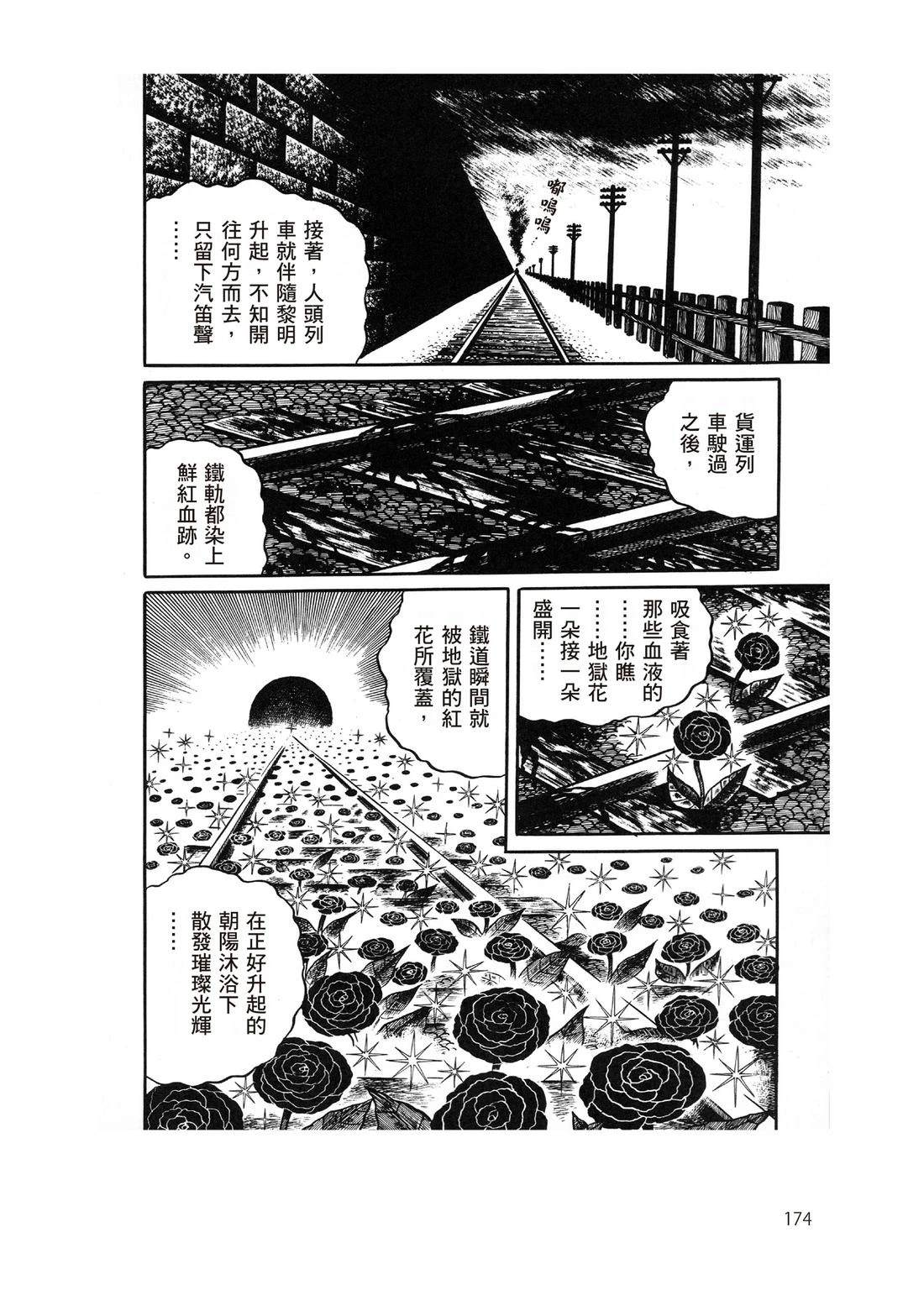 全一卷175