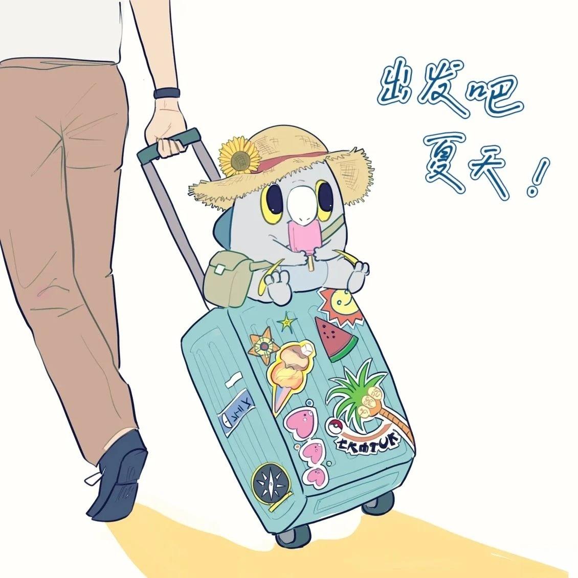 合集11