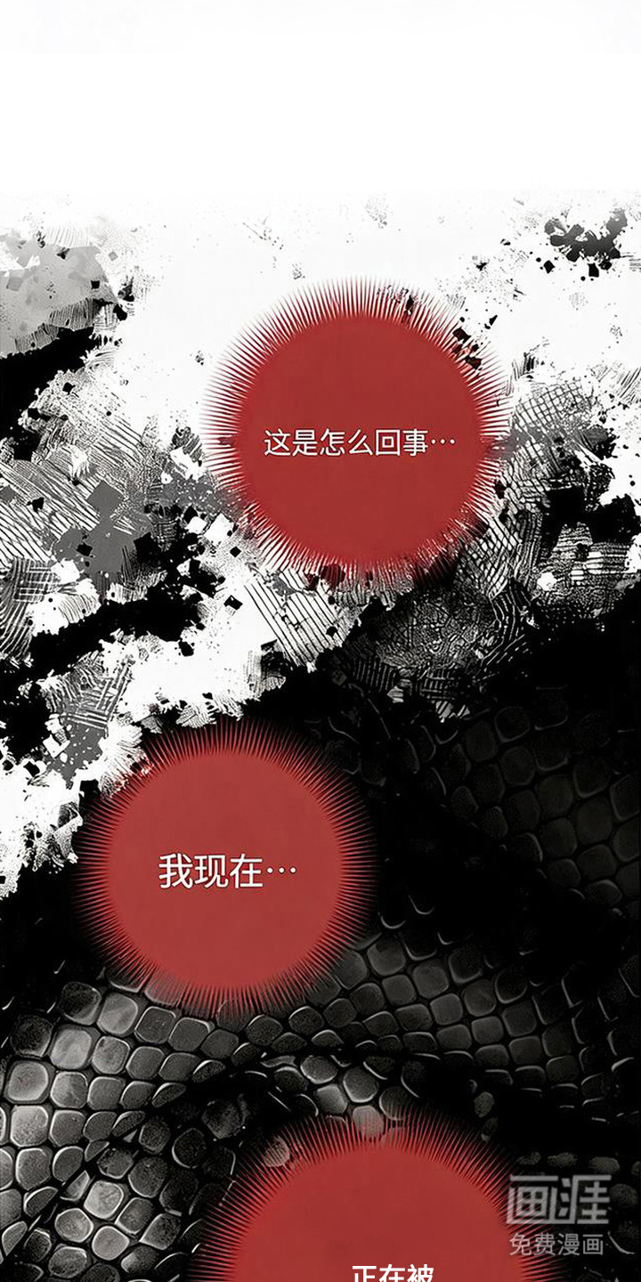 第5话11