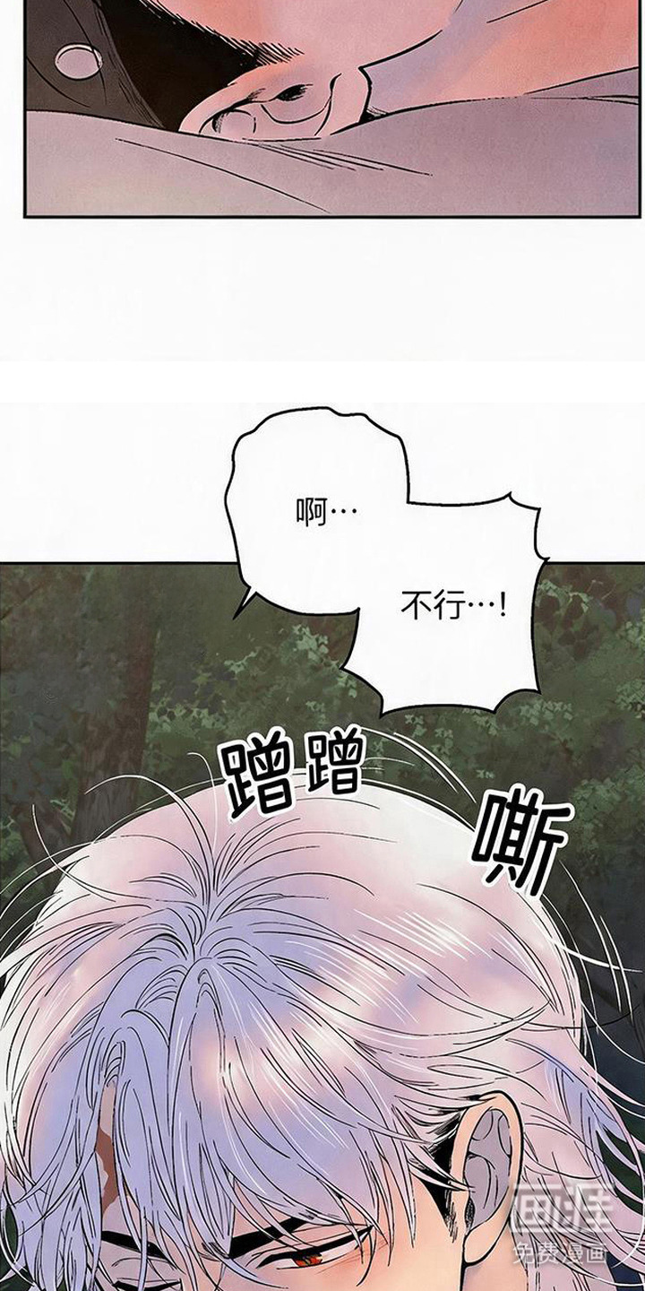 第5话6