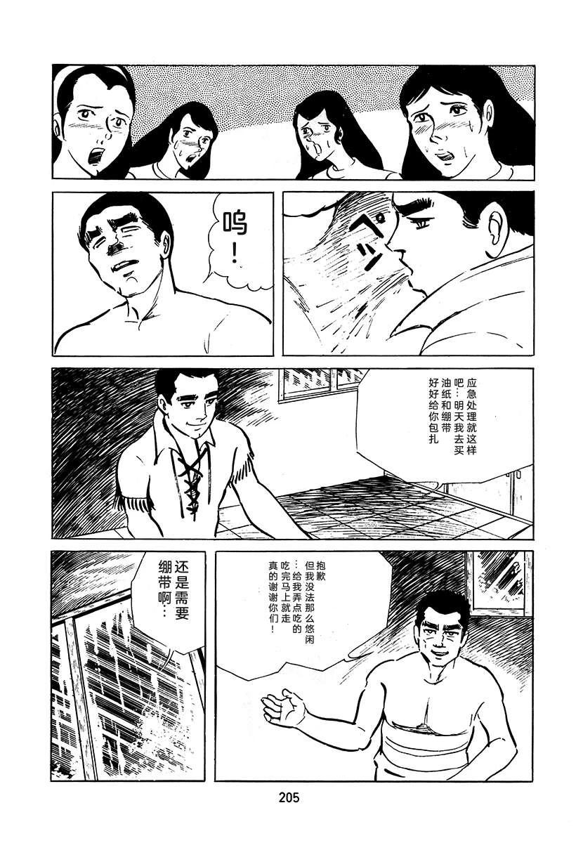 第3卷204