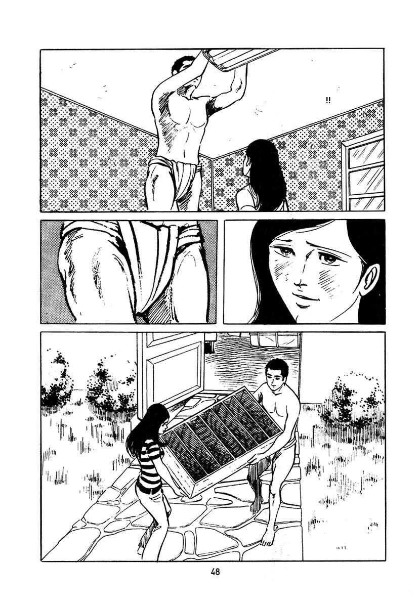第3卷361