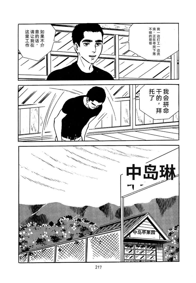 第3卷530