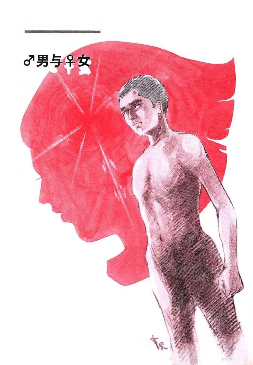 第4卷336