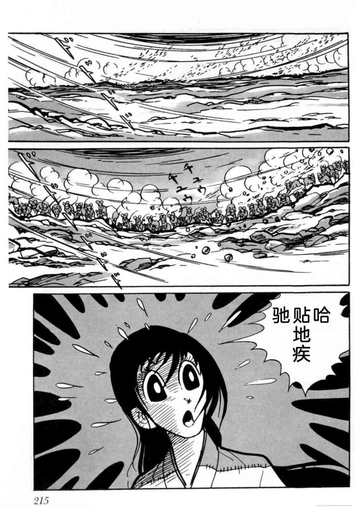 第3卷 机翻215